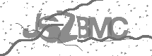 visual captcha